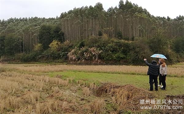 巴中市陈老师带着爱徒寻龙点穴